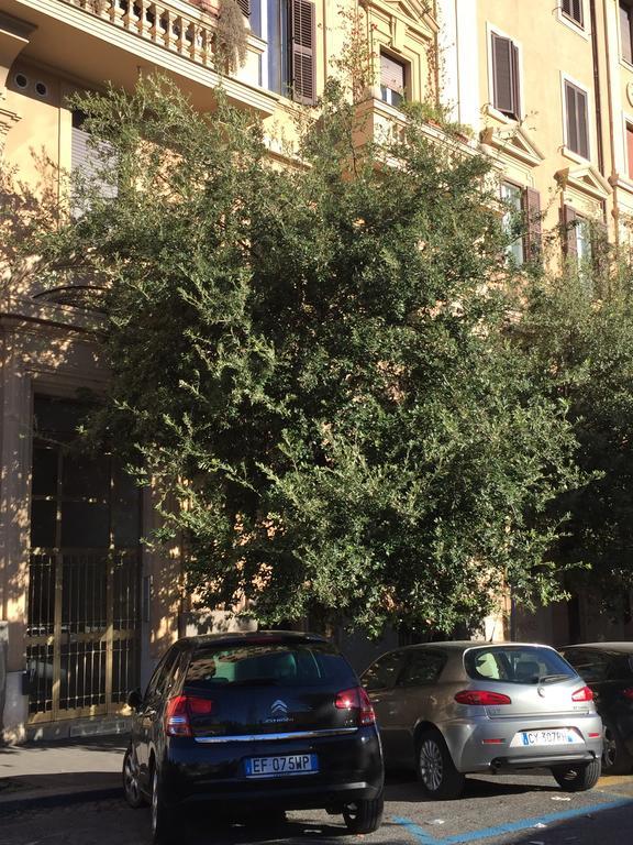 Vatican Accommodations โรม ภายนอก รูปภาพ